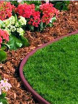 Planting Borders